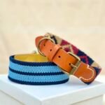 Premium Leather Pet Collar Collection | Custom Artisanal Cat & Dog Neckwear