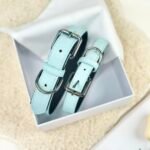 Premium Leather Pet Collar Collection | Custom Artisanal Cat & Dog Neckwear