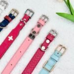 Premium Leather Pet Collar Collection | Custom Artisanal Cat & Dog Neckwear