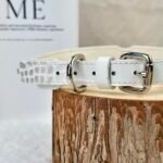 Premium Leather Pet Collar Collection | Custom Artisanal Cat & Dog Neckwear