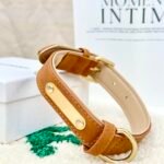 Premium Leather Pet Collar Collection | Custom Artisanal Cat & Dog Neckwear
